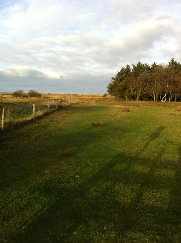 Directe groene omgeving van vakantiehuis Braamhoek op Ameland