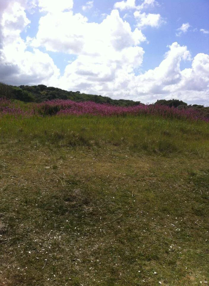 Rust en natuur rondom het vakantiehuis in Hollum